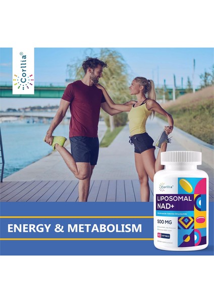 Liposomal Nad+ 500MG With Tmg 250MG Softgels Actual Nad+ Supplement 60 Softgels