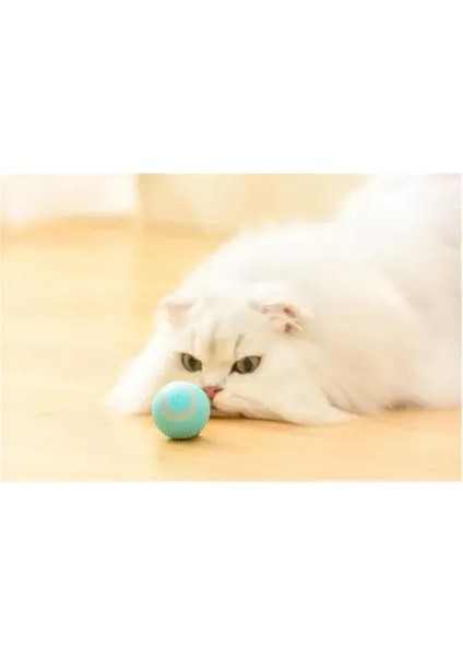 Akıllı Kedi Topu Hareketli Kedi Oyuncağı Interaktif Kedi Köpek Topu Akıllı Evcil Hayvan Oyuncağı fırsatları