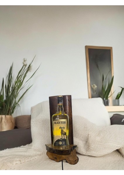 Aplik Retro Tasarım fırsatları