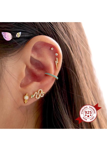 LN0067-9 925 Ayar Gümüş Iğne Metal Yılan Daire Hoop Küpe Kadınlar Için Vintage Punk Tarzı Kolye Küpe Güzel Moda Takı (Yurt Dışından)