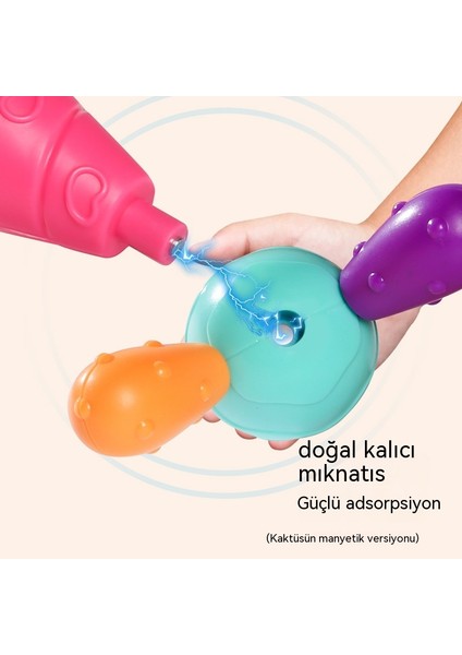Yaratıcı Sürekli Değişen Manyetik Kaktüs Çocuk Erkek ve Kız Eğitici Erken Eğitim Yapı Taşları Manyetik Montaj Doğum Günü Hediyesi Oyuncaklar 38 P (Yurt Dışından)