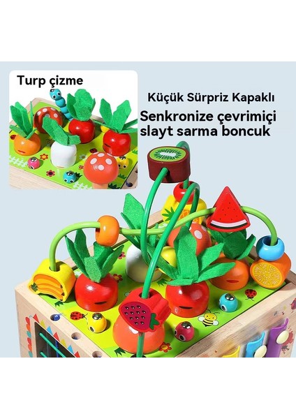 Çocukların Porous Şekilleri, Bilinçli Ses Üretimi, Cecil Şekli Eşleştirme Kutusu, Istihbarat Için Yararlı Bir Oyuncak. (Yurt Dışından)