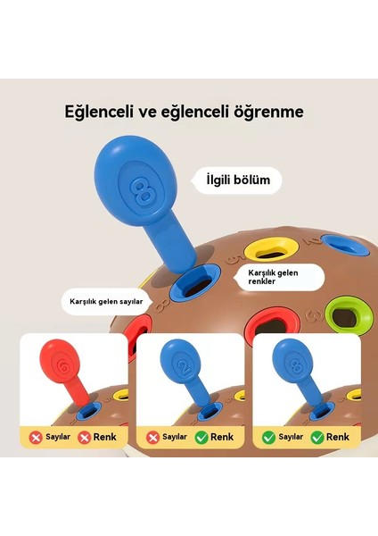 Çocukların Odaklanma Eğitimi, Bebek Bulmacaları ve Erken Eğitim Bulmaca Oyuncakları, El Göz Koordinasyonu, Dinozor Oyuncakları (Yurt Dışından) modelleri
