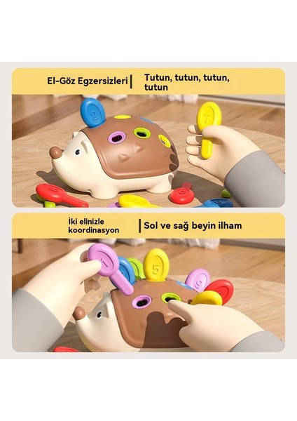 Çocukların Odaklanma Eğitimi, Bebek Bulmacaları ve Erken Eğitim Bulmaca Oyuncakları, El Göz Koordinasyonu, Dinozor Oyuncakları (Yurt Dışından) fırsatları