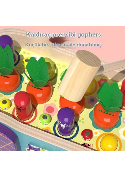 Çocuk Ahşap Oyuncakları - Yer Faresi Oynayan, Piyano Çalan, Sürükleyen, Dokunan, Eşleştirme, Etkileşimli Yapboz Oyuncakları (Yurt Dışından) fiyatları
