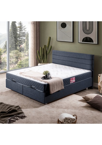 Sofia Çift Kişilik Baza Başlık Letto Yatak Seti - Lacivert
