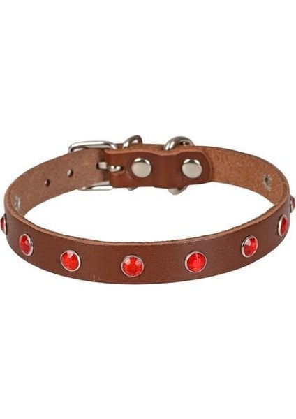 Gerçek Deriden Taşlı Kedi Boyun Tasması Large Kahverengi 1.2X23-28 cm