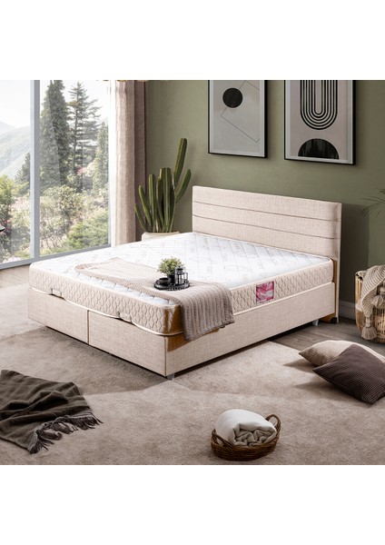 Sofia Çift Kişilik Baza Başlık Letto Yatak Seti - Krem