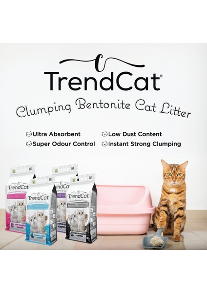 Grey Activated Control Topaklanan Koku Hapseden Tozsuz 10 Lt Kedi Kumu