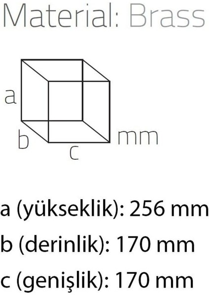 Masaüstü Kağıt Havluluk Siyah-Saten 270X160X160 Mm