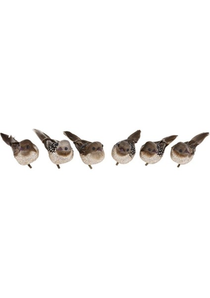 Natural Kuşlar (6 Parça)