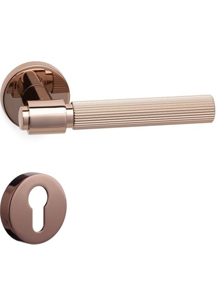 Axes-L Rose - Yale Rozetli Kapı Kolu - Hha213Ro12Y Rs