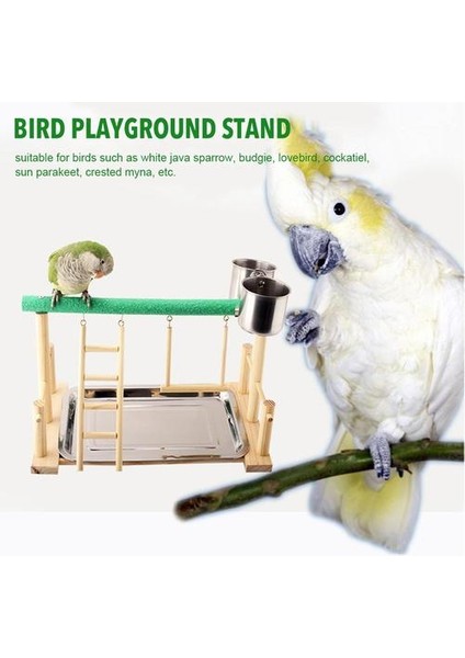 Papağan Oyun Perch Kuş Papağan Oyna Eğitim Standı Bahçesi Ahşap Levrek Playpen Egzersiz Playgym Besleyici Kupası ile | Kuş Oyuncakları (Yurt Dışından)