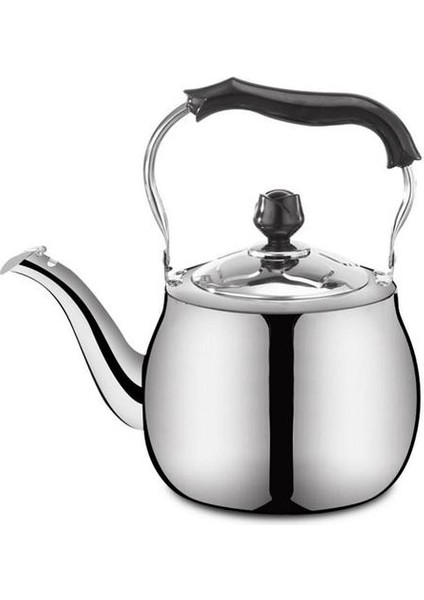 Islık Çay Su Isıtıcısı Paslanmaz Çelik Çaydanlık Takette Stopetop Indüksiyon Çaydanlık Saplı Mutfak Aracı ile | Su Isıtıcılar (Yurt Dışından)