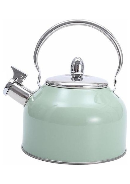 2.5l Gaz Sobası Için Islık Su Isıtıcısı Tüm Stipetoplar Paslanmaz Çelik Kahve Çay Su Isıtıcısı Gaz Çaydanlık | Su Isıtıcılar (Yurt Dışından)