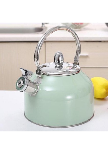 2.5l Gaz Sobası Için Islık Su Isıtıcısı Tüm Stipetoplar Paslanmaz Çelik Kahve Çay Su Isıtıcısı Gaz Çaydanlık | Su Isıtıcılar (Yurt Dışından)