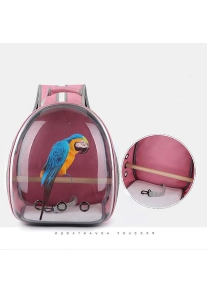 Papağan Pet Sırt Çantası Açık Seyahat Oxford Bez Şeffaf Kuş Kafesi Taşınabilir Taşıma Rahat Papağan Kafes Kuş Çantası Evi | Kuş Kafesleri ve Amp;yuvalar (Pembe) (Yurt Dışından) fiyatları