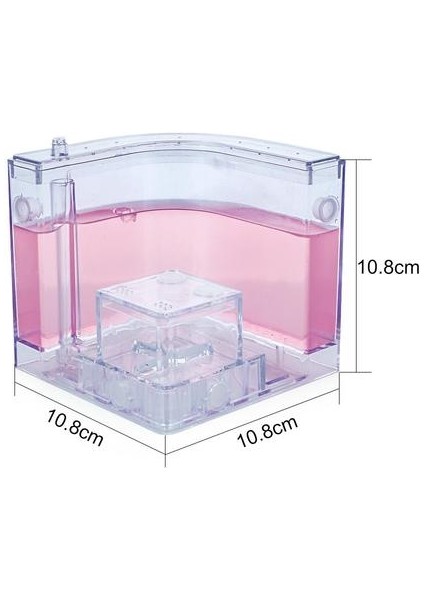 Karıncalar Ev Sanat Habitat Fanny Karınca Yuva Dekorasyon Pet Oyuncak Renkli Özel Akrilik Karınca Çiftlik Şeffaf Besleme Alanı | Borular ve Amp;tüneller (Pembe) (Yurt Dışından)