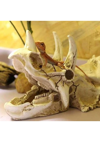 Sürüngenler Amfibi Habitat Hideaway Mağara Akvaryum Süslemeleri Dinozor Triceratops Taklit Kafatası Modeli | Süslemeler (Yurt Dışından)