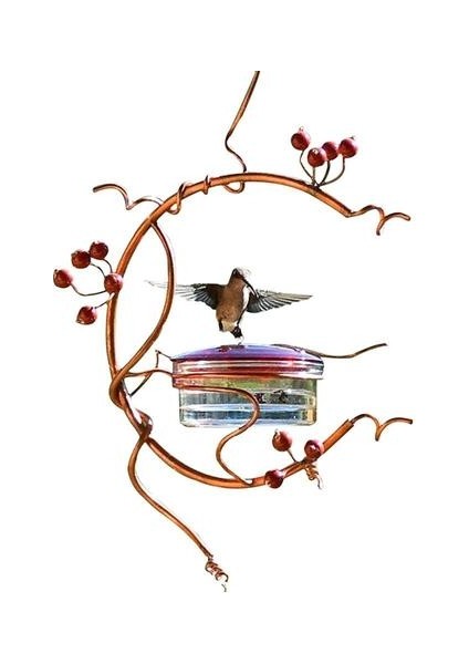 Papağan Kuş Besleyici Metal Ev Bahçe Dekor Retro Rustik Vintage Yağmur Geçirmez Rüzgar Geçirmez Asılı Besleyici Çeşitli Pet Birds Malzemeleri | Kuş Beslemesi (Yurt Dışından)