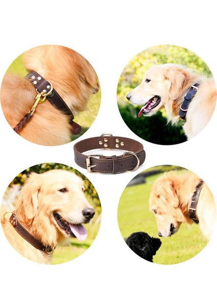 Kalite Hakiki Deri Köpek Yaka Dayanıklı Vintage Ağır Hizmet Tezgahı Orta Büyük Köpekler Için Ağır Paslanmaz Çift Pet Yaka | Yaka (L) (Yurt Dışından) fırsatları