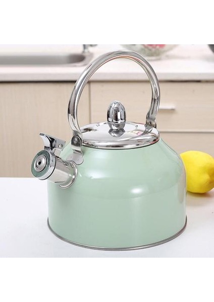 2.5l Japonya Stil Isılı Su Isıtıcısı Isıya Dayanıklı Kolu ile Paslanmaz Çelik Çaydanlık Tüm Stipetler Için | Su Isıtıcılar | (Yurt Dışından)