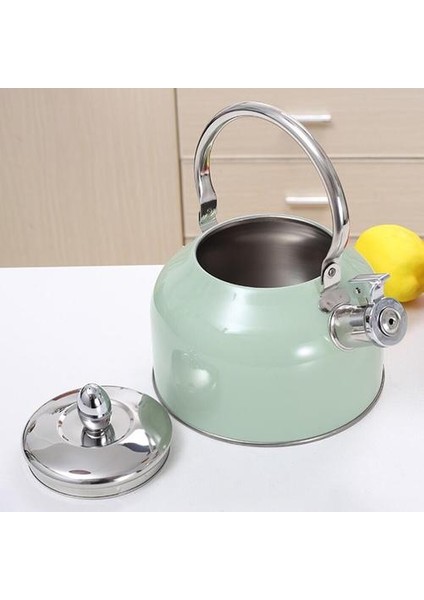 2.5l Japonya Stil Isılı Su Isıtıcısı Isıya Dayanıklı Kolu ile Paslanmaz Çelik Çaydanlık Tüm Stipetler Için | Su Isıtıcılar | (Yurt Dışından)