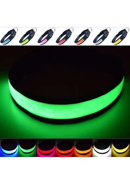 Süper Parlak USB Şarj Edilebilir LED Köpek Güvenliği Yaka - Büyük Görünürlük ve Amp; Amp;geliştirilmiş Güvenlik - 4 Renk, 3 Boyut (Yeşil, Büyük) (Yurt Dışından)