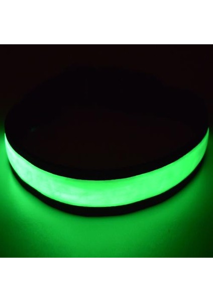 Süper Parlak USB Şarj Edilebilir LED Köpek Güvenliği Yaka - Büyük Görünürlük ve Amp; Amp;geliştirilmiş Güvenlik - 4 Renk, 3 Boyut (Yeşil, Büyük) (Yurt Dışından)