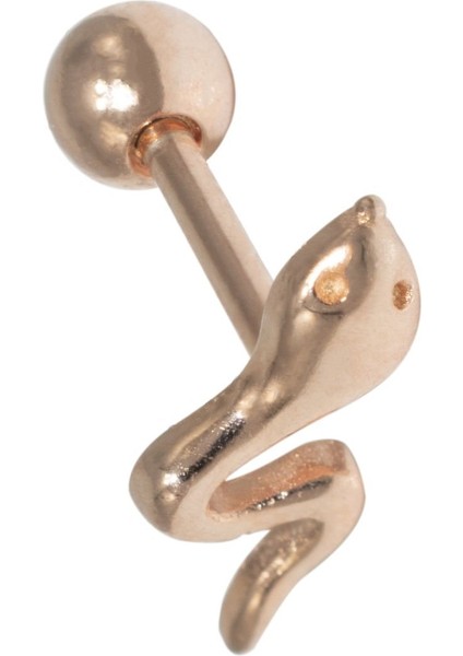 Yılan Tragus Gümüş Küpe NUR-KP02010