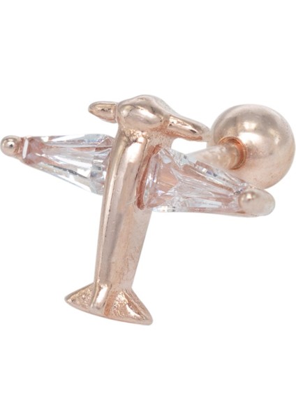 Uçak Tragus Gümüş Küpe NUR-KP01998