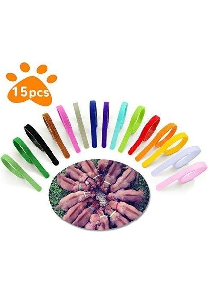 15 Parça Yavru Kimlik Yaka, Ayarlanabilir Whelping Kukla Yavruları Yavru Kedi Kimlik Grupları Için Yenidoğan Küçük Köpekler Kedi, Çok Renkli Naylon Özdeş (Yurt Dışından)