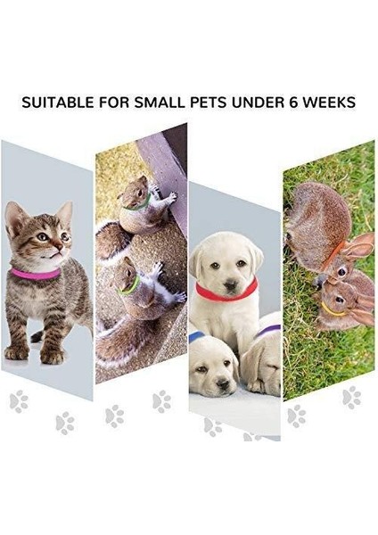 15 Parça Yavru Kimlik Yaka, Ayarlanabilir Whelping Kukla Yavruları Yavru Kedi Kimlik Grupları Için Yenidoğan Küçük Köpekler Kedi, Çok Renkli Naylon Özdeş (Yurt Dışından)