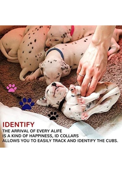 15 Parça Yavru Kimlik Yaka, Ayarlanabilir Whelping Kukla Yavruları Yavru Kedi Kimlik Grupları Için Yenidoğan Küçük Köpekler Kedi, Çok Renkli Naylon Özdeş (Yurt Dışından)