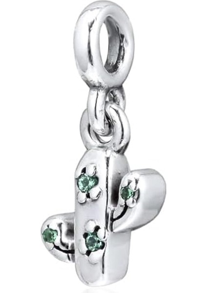 Kaktüs Gümüş Charm NUR-BL00301