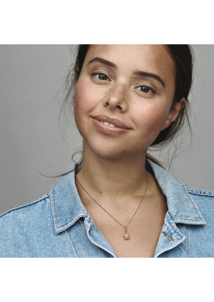 Rose Uğur Böceği Gümüş Charm NUR-BL10039 fırsatları