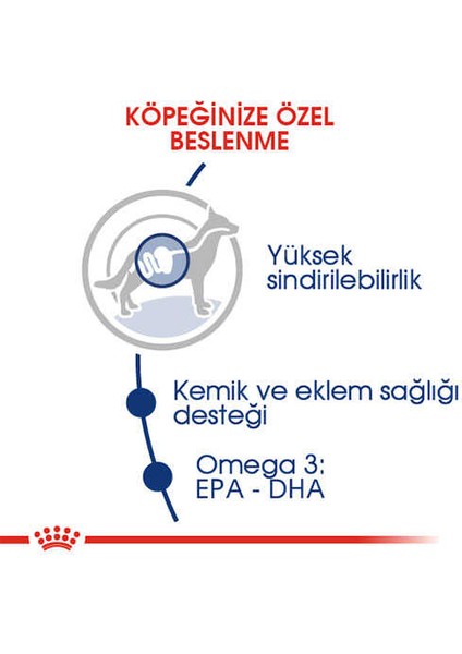 Maxi Adult Büyük Irk Yetişkin Köpek Maması 15 kg