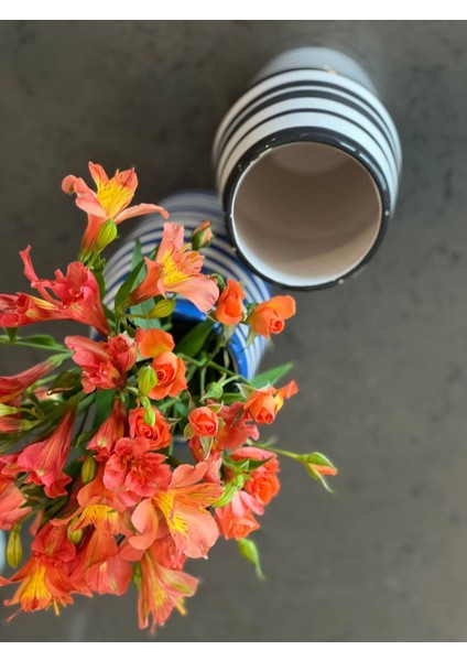 Lacivert Line Art Vazo fırsatları