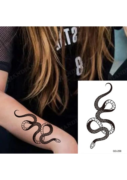 Gerçekci Geçici Yılan Minimal Dövme Tattoo