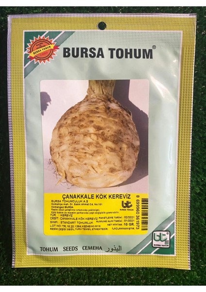 Bursa Tohum Çanakkale Kök Kereviz 10 Gr x 3 Adet