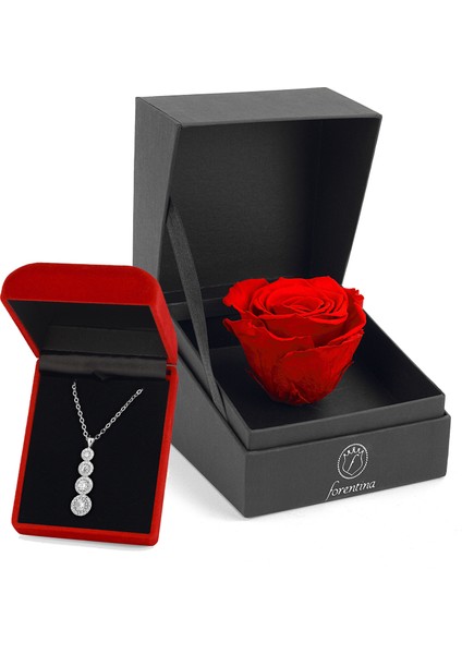 Tria Kolye - Kırmızı Solmayan Gül Hediye Set PS2535