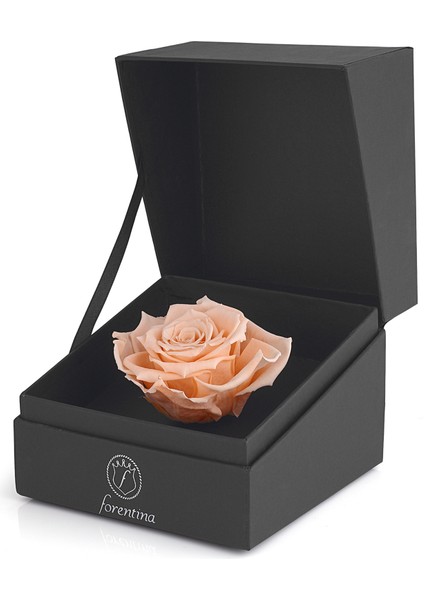 Rose Kalpli Takı Seti Rose Solmayan Gül Hediye Set PS2602 modelleri