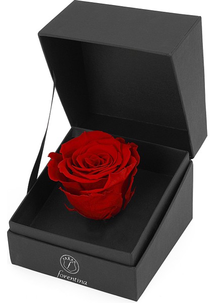 Gümüş Kaplama Tektaş Kolye - Kırmızı Solmayan Gül Hediye Set PS2534 fırsatları