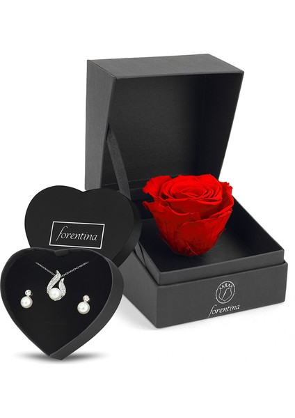 Inci Modeli Kolye Küpe - Kırmızı Solmayan Gül Hediye Set PS2538