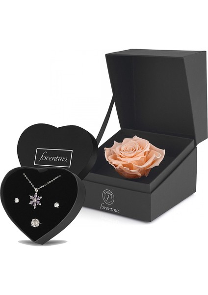 Zirkon Taşlı Takı Seti &amp; Rose Solmayan Gül Hediye Set PS2652