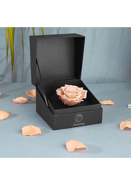 Zirkon Taşlı Takı Seti &amp; Rose Solmayan Gül Hediye Set PS2652 fiyatları