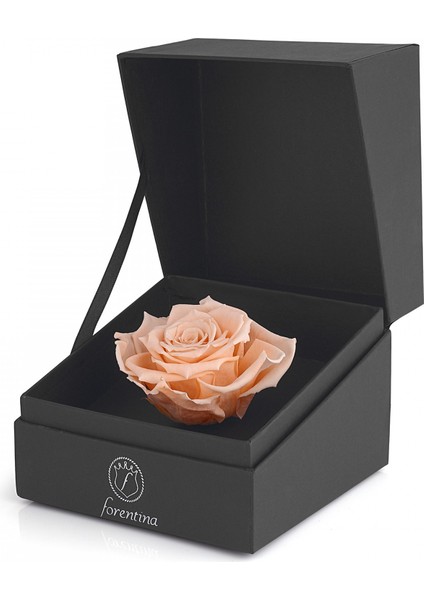 Zirkon Taşlı Takı Seti &amp; Rose Solmayan Gül Hediye Set PS2652 modelleri