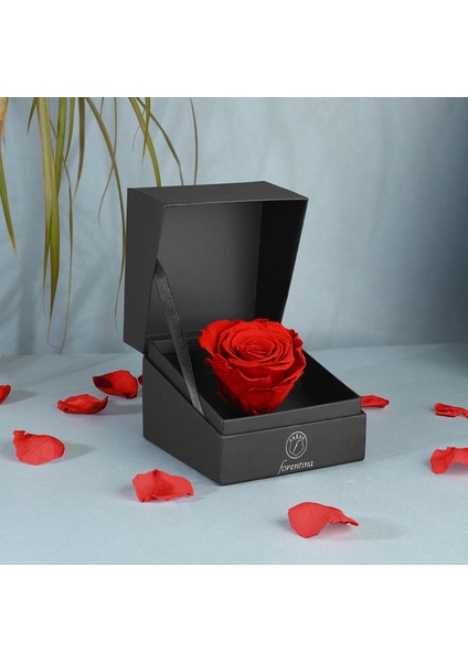 Tektaş Kolye Küpe Yüzük - Kırmızı Solmayan Gül Hediye Set PS2537 modelleri