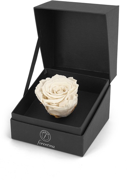 Inci Modeli Kolye Küpe - Beyaz Solmayan Gül Hediye Set PS2539 modelleri