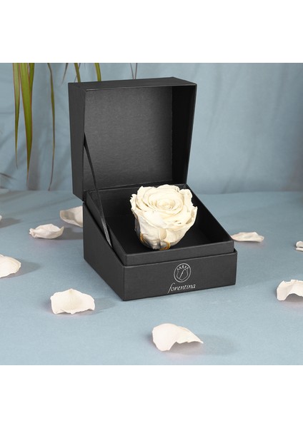 Inci Modeli Kolye Küpe - Beyaz Solmayan Gül Hediye Set PS2539 indirimleri